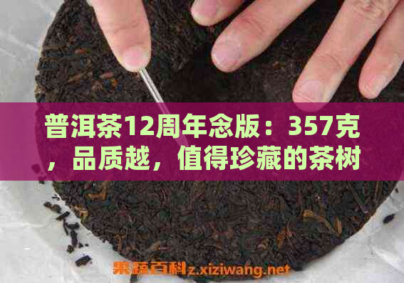 普洱茶12周年念版：357克，品质越，值得珍藏的茶树王茶包