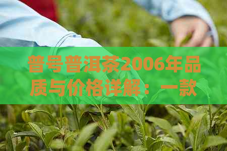 普号普洱茶2006年品质与价格详解：一款值得品尝的经典普洱茶