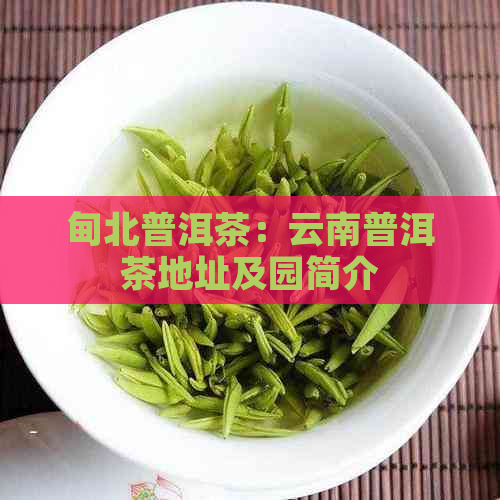 甸北普洱茶：云南普洱茶地址及园简介