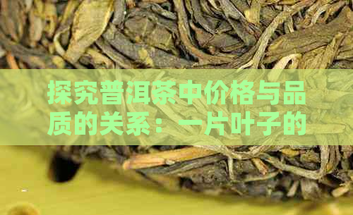 探究普洱茶中价格与品质的关系：一片叶子的价值是多少？