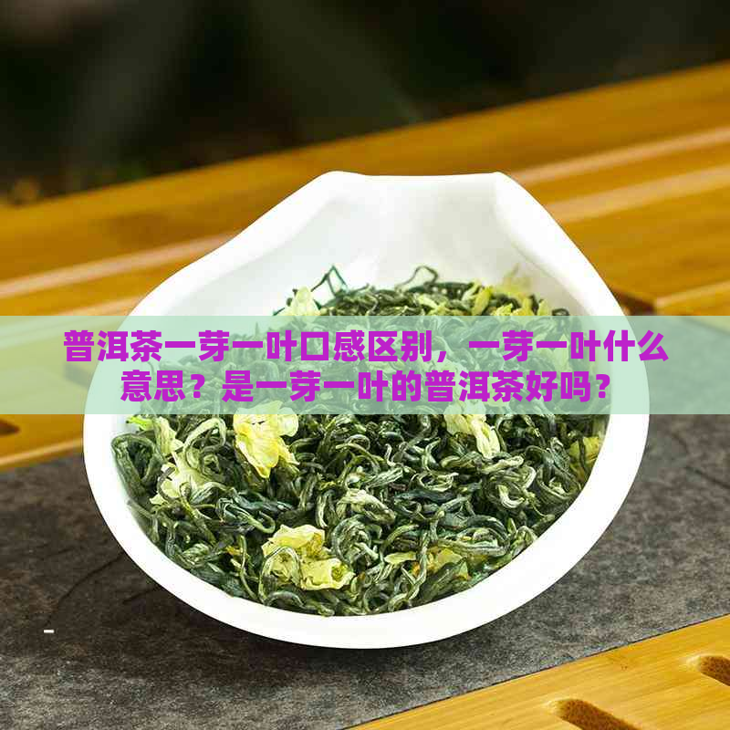 普洱茶一芽一叶口感区别，一芽一叶什么意思？是一芽一叶的普洱茶好吗？