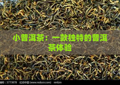 小普洱茶：一款独特的普洱茶体验