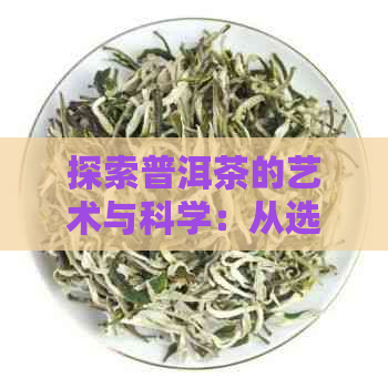 探索普洱茶的艺术与科学：从选购到品鉴的全方位指南