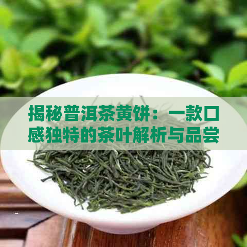 揭秘普洱茶黄饼：一款口感独特的茶叶解析与品尝体验