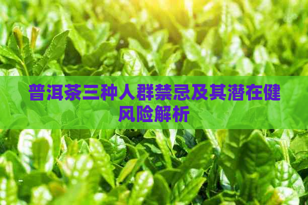 普洱茶三种人群禁忌及其潜在健风险解析