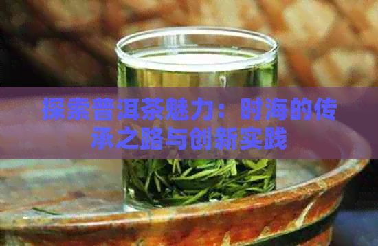 探索普洱茶魅力：时海的传承之路与创新实践