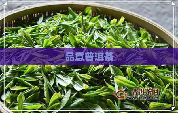 品意普洱茶