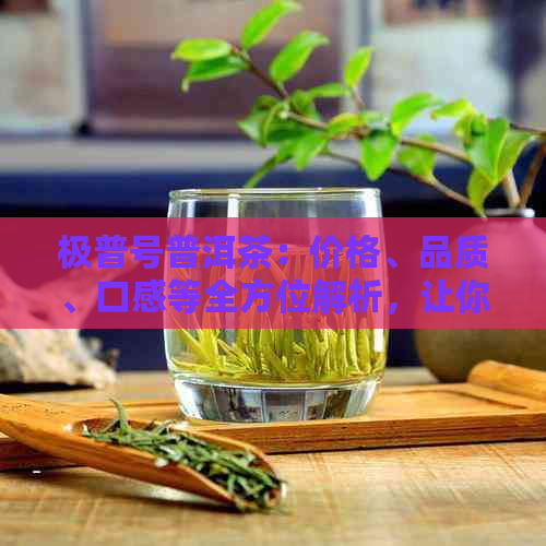 极普号普洱茶：价格、品质、口感等全方位解析，让你轻松了解这款茶叶的一切