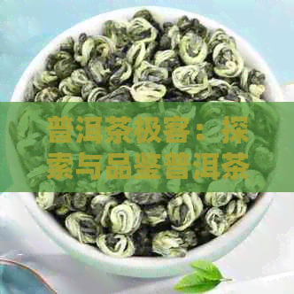 普洱茶极客：探索与品鉴普洱茶的全面指南