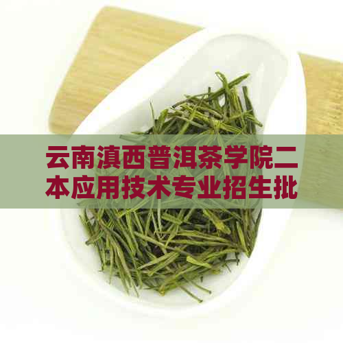 云南滇西普洱茶学院二本应用技术专业招生批次及录取情况分析