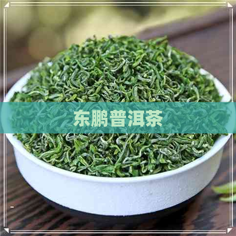 东鹏普洱茶