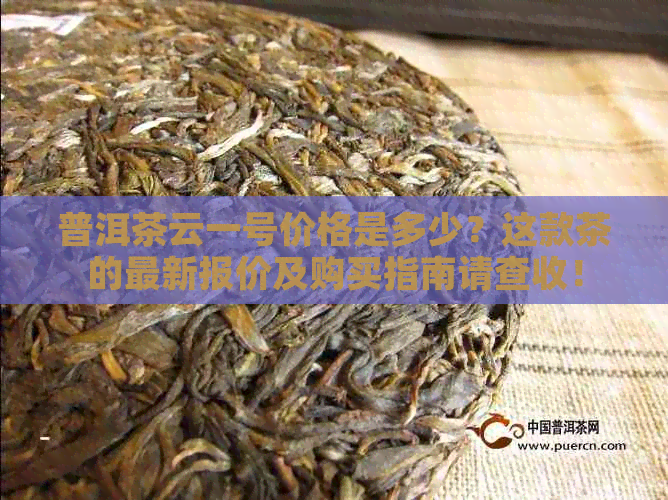 普洱茶云一号价格是多少？这款茶的最新报价及购买指南请查收！