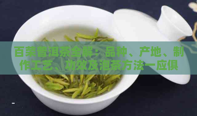 百荣普洱茶全解：品种、产地、制作工艺、功效及泡茶方法一应俱全