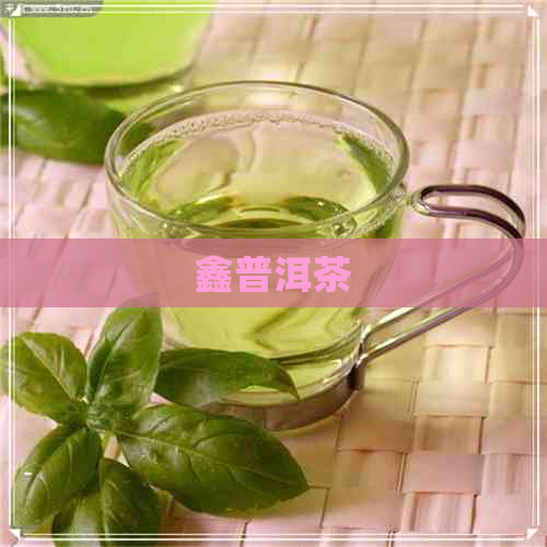 鑫普洱茶