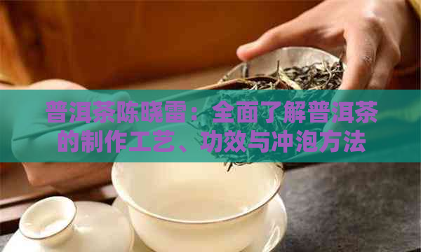 普洱茶陈晓雷：全面了解普洱茶的制作工艺、功效与冲泡方法