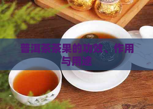 普洱茶茶果的功效、作用与用途