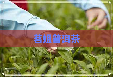 茗姐普洱茶