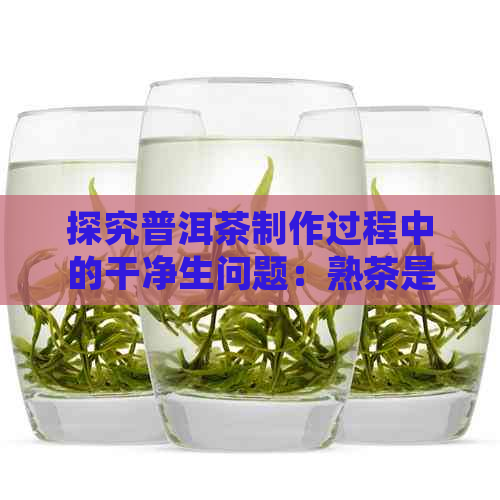 探究普洱茶制作过程中的干净生问题：熟茶是否真的无霉菌细菌？