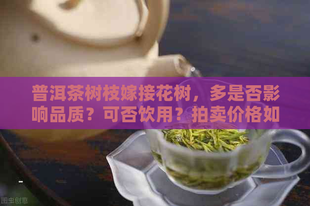 普洱茶树枝嫁接花树，多是否影响品质？可否饮用？拍卖价格如何？