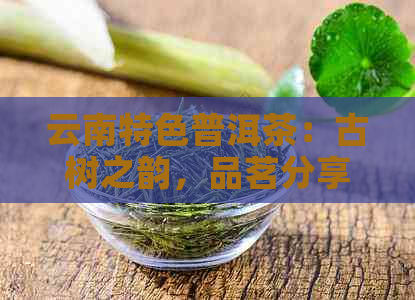 云南特色普洱茶：古树之韵，品茗分享