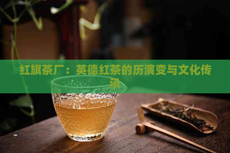 红旗茶厂：英德红茶的历演变与文化传承