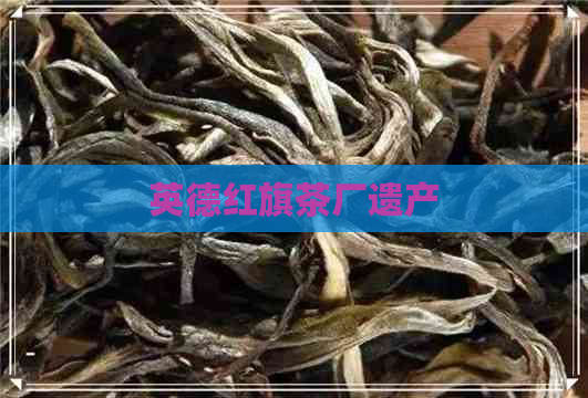 英德红旗茶厂遗产