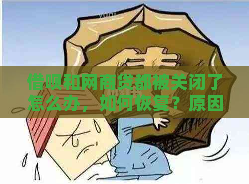 借呗和网商贷都被关闭了怎么办，如何恢复？原因与解决办法