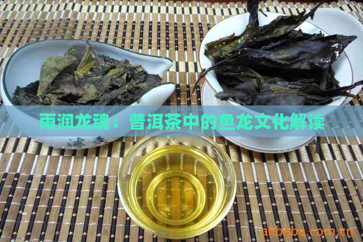 雨润龙魂：普洱茶中的鱼龙文化解读