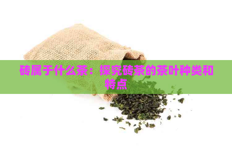 砖属于什么茶：探究砖茶的茶叶种类和特点