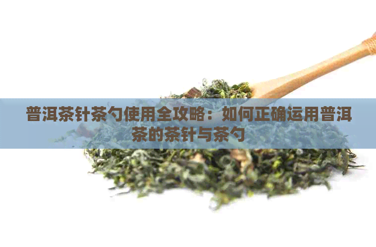 普洱茶针茶勺使用全攻略：如何正确运用普洱茶的茶针与茶勺