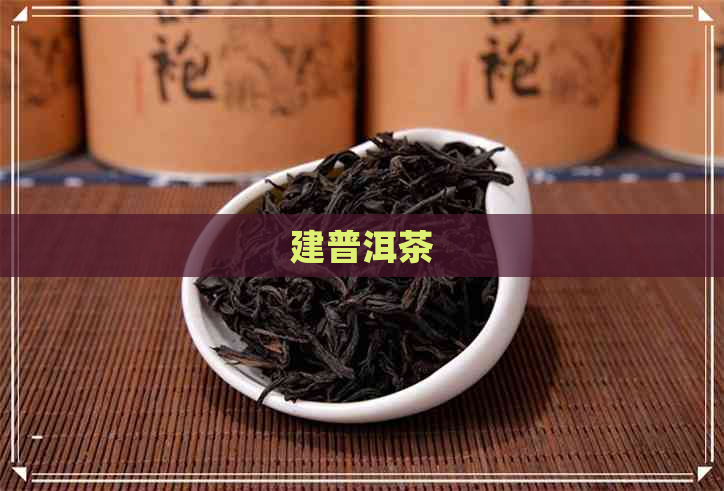 建普洱茶