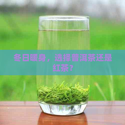 冬日暖身，选择普洱茶还是红茶？