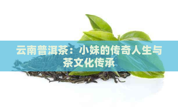 云南普洱茶：小妹的传奇人生与茶文化传承