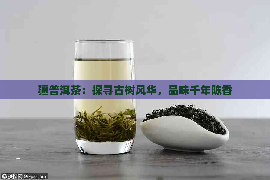 疆普洱茶：探寻古树风华，品味千年陈香