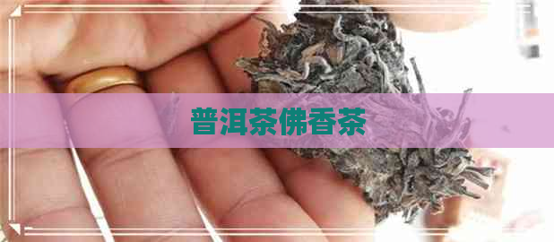 普洱茶佛香茶