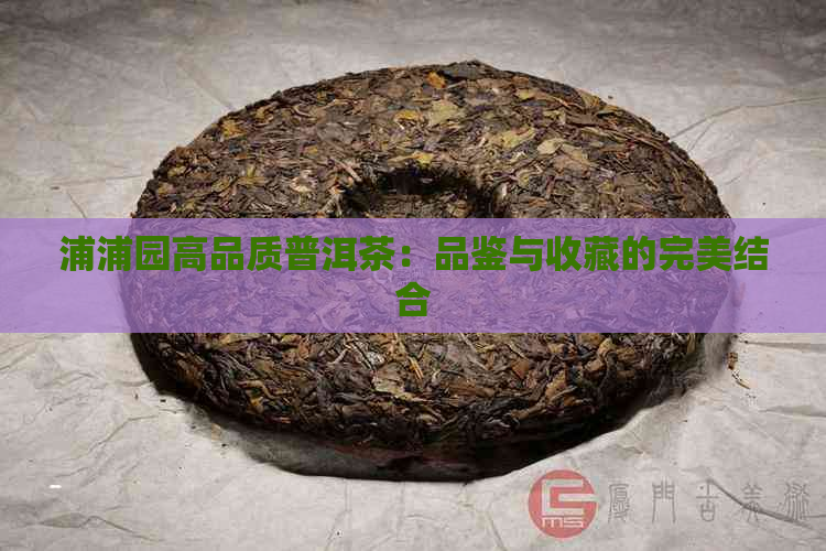 浦浦园高品质普洱茶：品鉴与收藏的完美结合