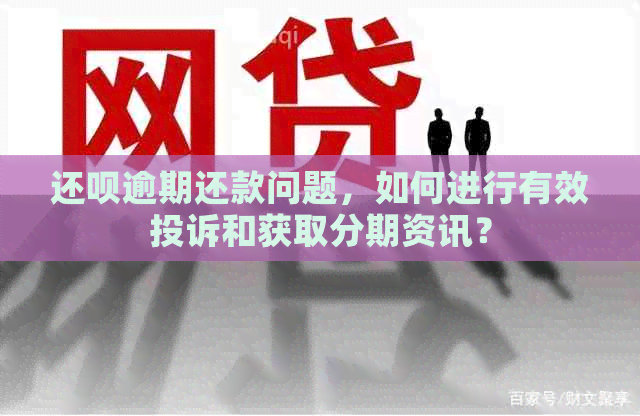 还呗逾期还款问题，如何进行有效投诉和获取分期资讯？