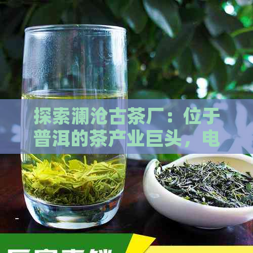 探索澜沧古茶厂：位于普洱的茶产业巨头，电话与地址信息一览无余