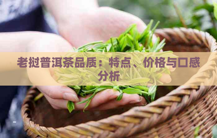 老挝普洱茶品质：特点、价格与口感分析