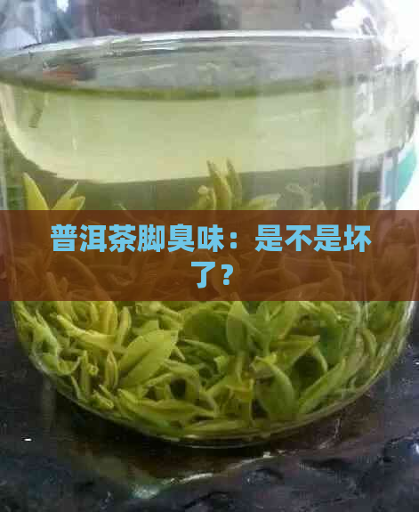 普洱茶脚臭味：是不是坏了？