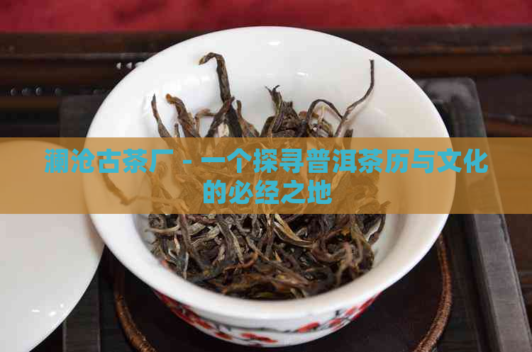 澜沧古茶厂 - 一个探寻普洱茶历与文化的必经之地