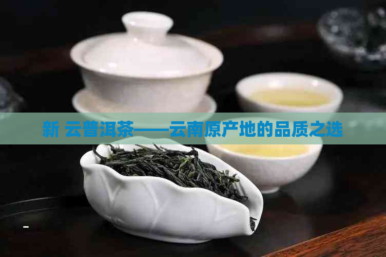 新 云普洱茶——云南原产地的品质之选