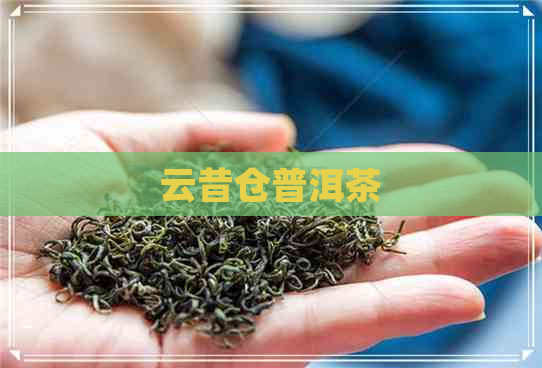 云昔仓普洱茶