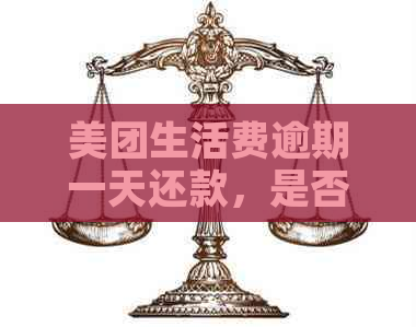 美团生活费逾期一天还款，是否可以再次借款？安全性如何保障？