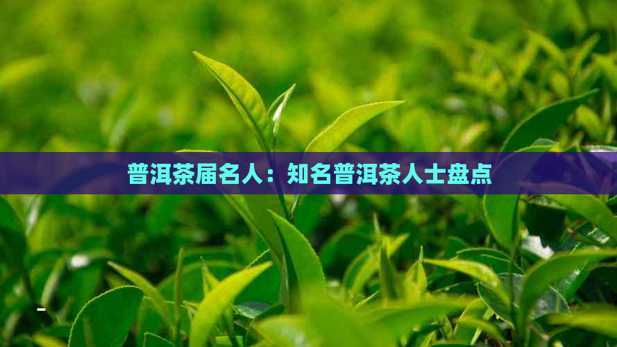 普洱茶届名人：知名普洱茶人士盘点