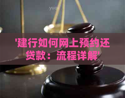 '建行如何网上预约还贷款：流程详解'