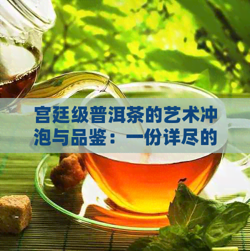 宫廷级普洱茶的艺术冲泡与品鉴：一份详尽的步骤指南