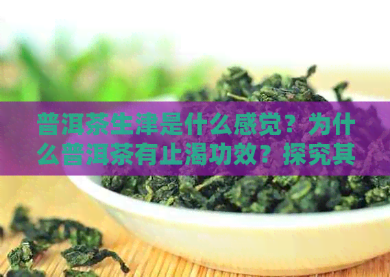 普洱茶生津是什么感觉？为什么普洱茶有止渴功效？探究其科学原理