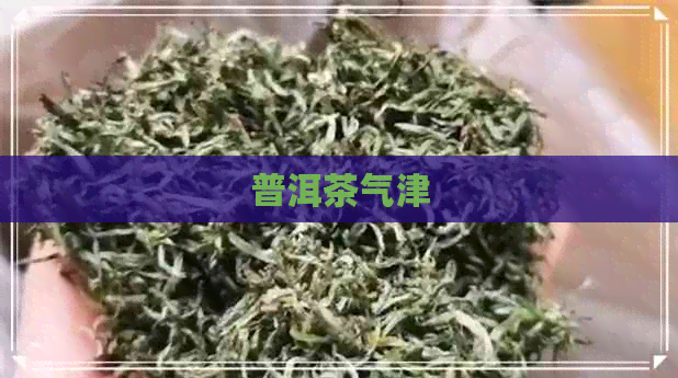 普洱茶气津