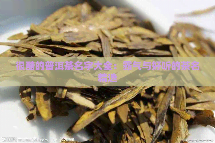 很酷的普洱茶名字大全：霸气与好听的茶名精选